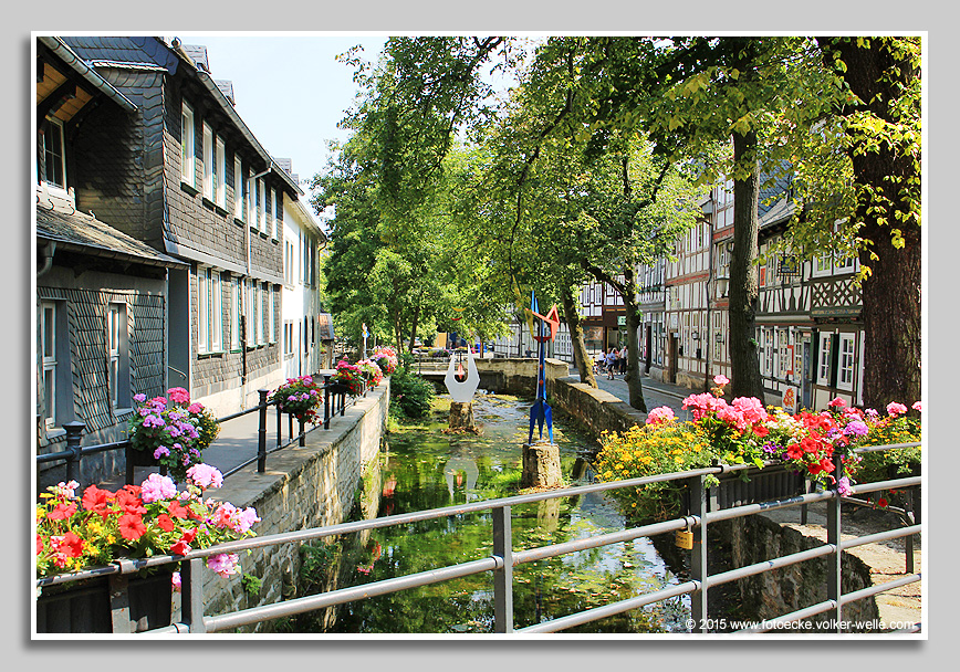 Spaziergang an der Abzucht-Goslar