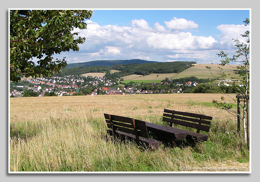 Kusel mit Blick auf den Potzberg