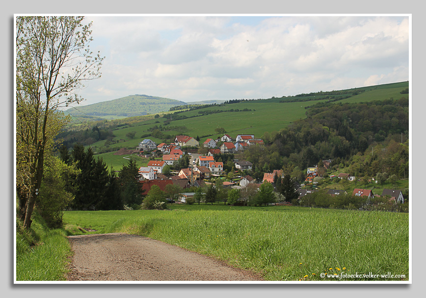 Aussicht auf Olsbrücken an der Lauter