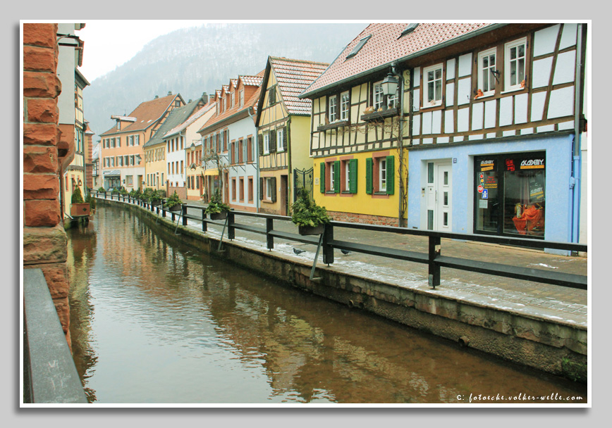 Die Queich in Annweiler am Triefels