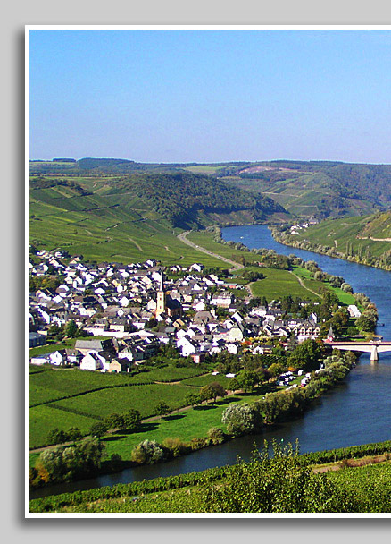 Blick auf die Mosel und das Moseldorf Trittenheim