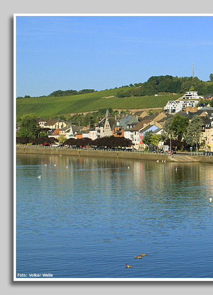 An der Mosel - Schiffs- und Fähranleger in Wasserbilligerbrück- Luxemburg