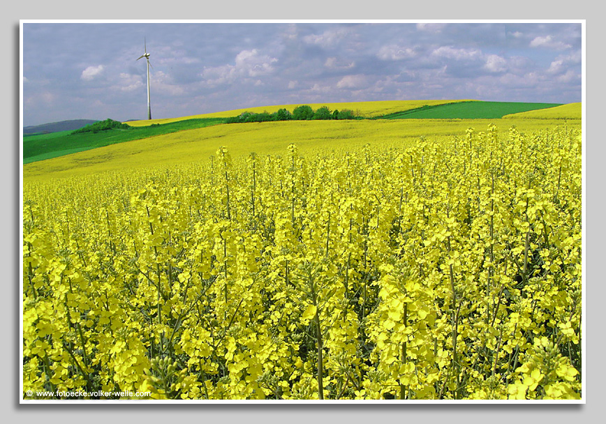 Windrad auf dem Reiserberg