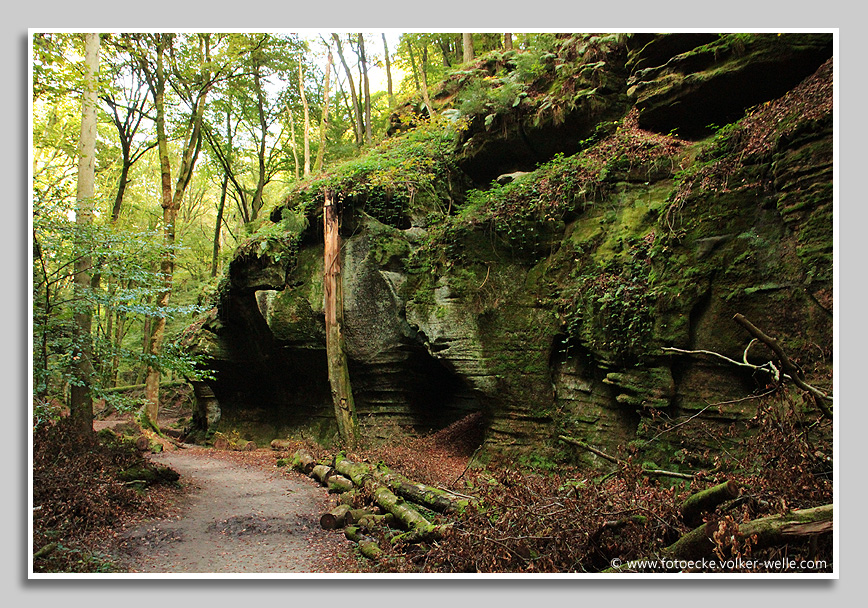 Im Müllertal - Luxemburger Schweiz unweit von Echternach