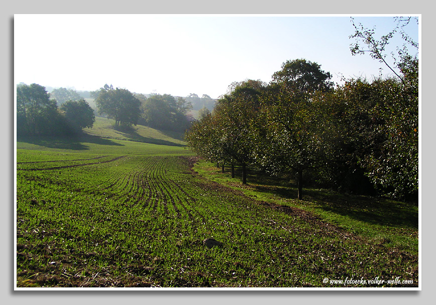 Landschaft bei Fusenig