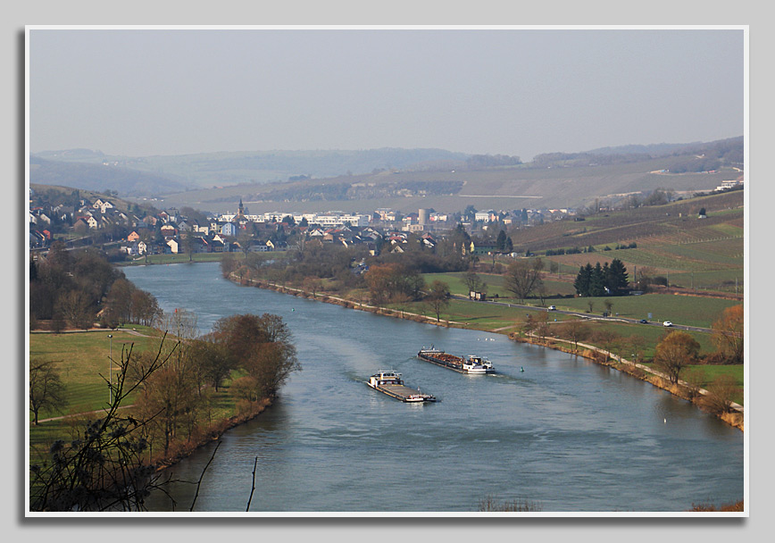 Die Mosel bei Igel