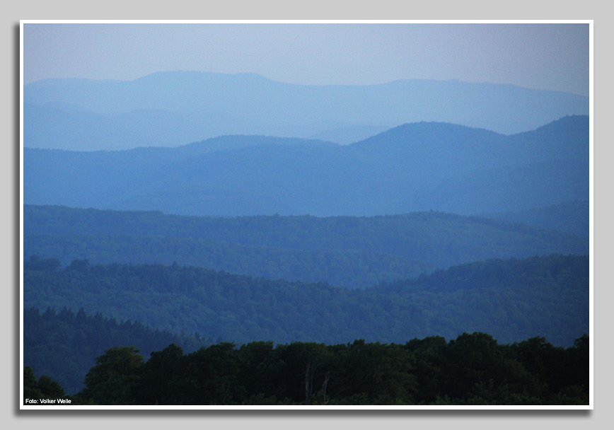 Hügelketten des abendlichen Pfälzer Waldes.