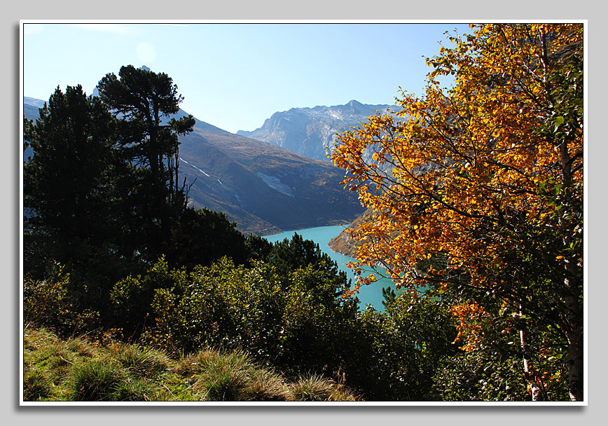 Im Walsertal-Schweiz