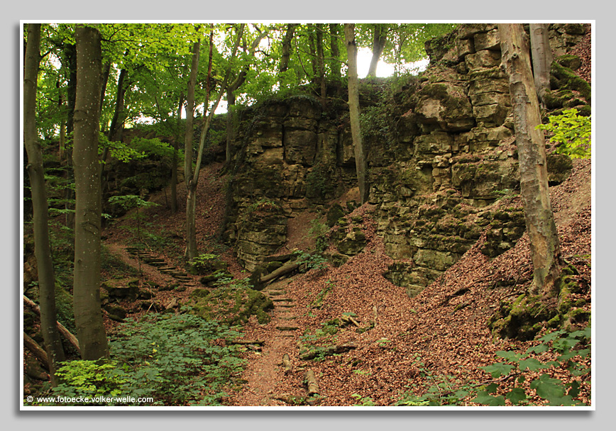 Luxemburg - urige Wanderpfade im Sauertal. Von Rosport nach Echternach.