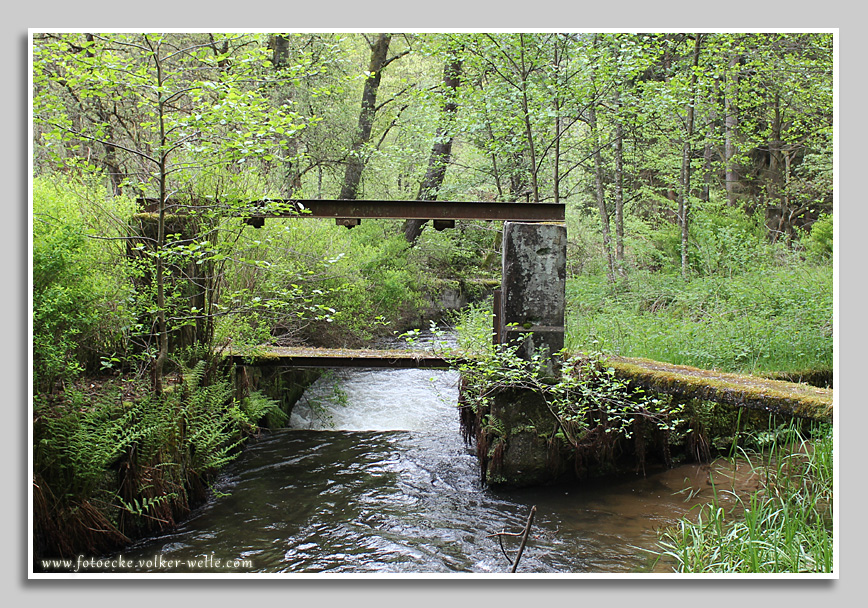 Altes Wehr an der Wieslauter. Fotografiert am Wieslautertalradweg zwischen Hinterweidenthal und Dahn.