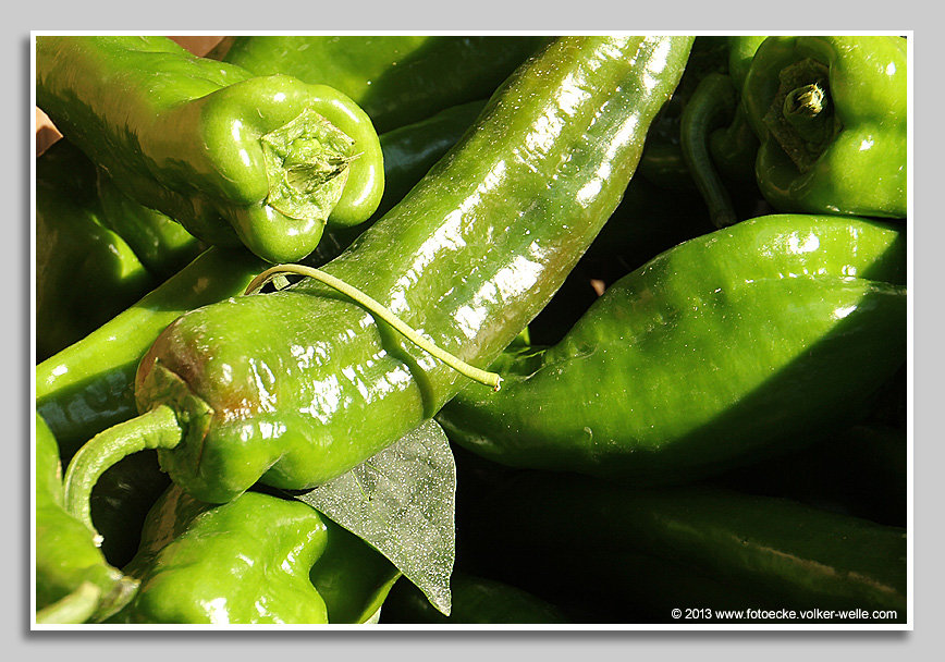 Grüne Paprika-Schoten