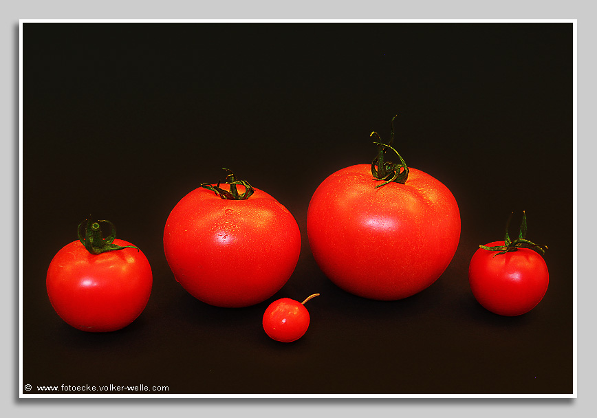 Tomatenfamilie