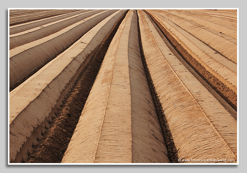 Ackerfurchen