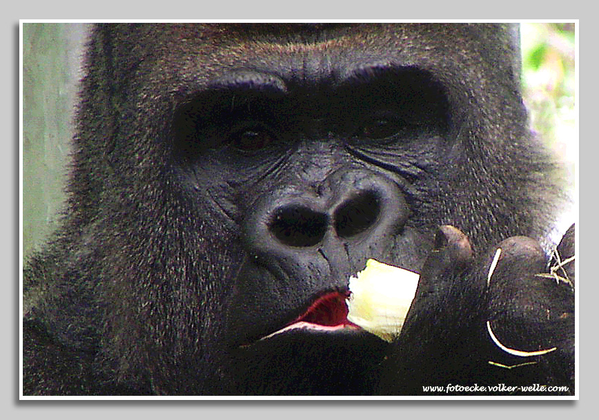 Banana split for my baby